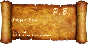Payer Bea névjegykártya
